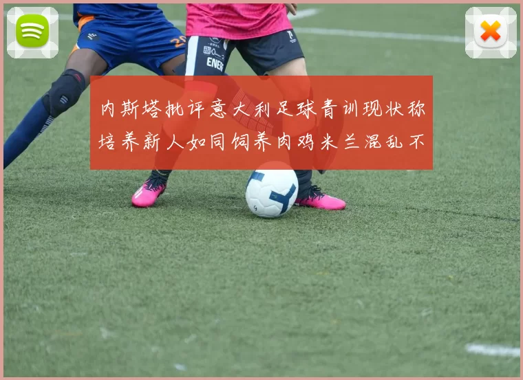 内斯塔批评意大利足球青训现状称培养新人如同饲养肉鸡米兰混乱不堪