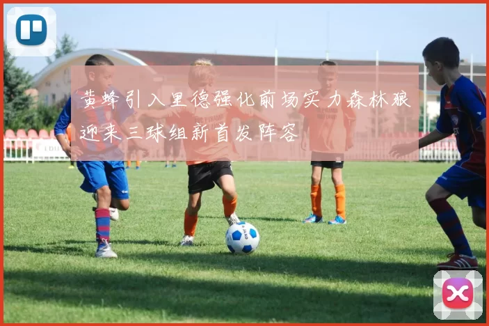 黄蜂引入里德强化前场实力森林狼迎来三球组新首发阵容
